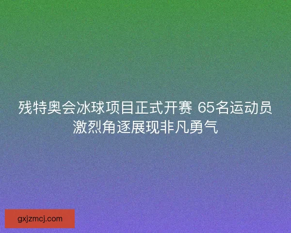 残特奥会冰球项目正式开赛 65名运动员激烈角逐展现非凡勇气