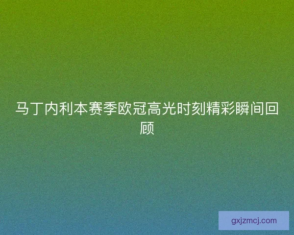 马丁内利本赛季欧冠高光时刻精彩瞬间回顾
