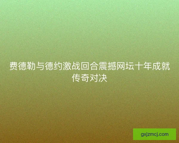 费德勒与德约激战回合震撼网坛十年成就传奇对决